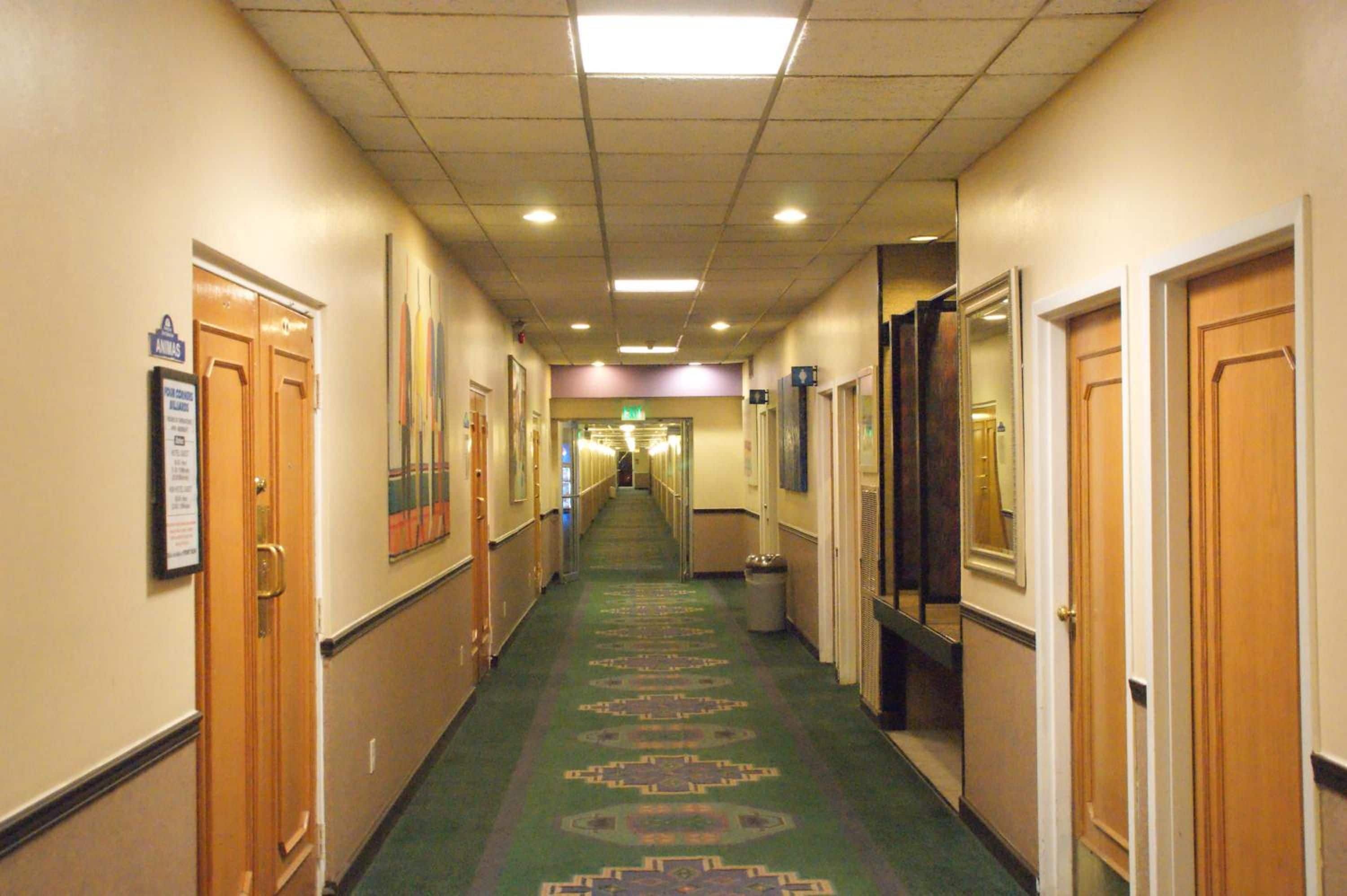 A hotel corridor with doors on both sides, a carpeted floor, and a ceiling with recessed lighting.