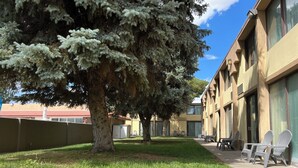 Ein Gebäude mit einem großen Baum davor, einer Rasenfläche und Sitzgelegenheiten im Freien.