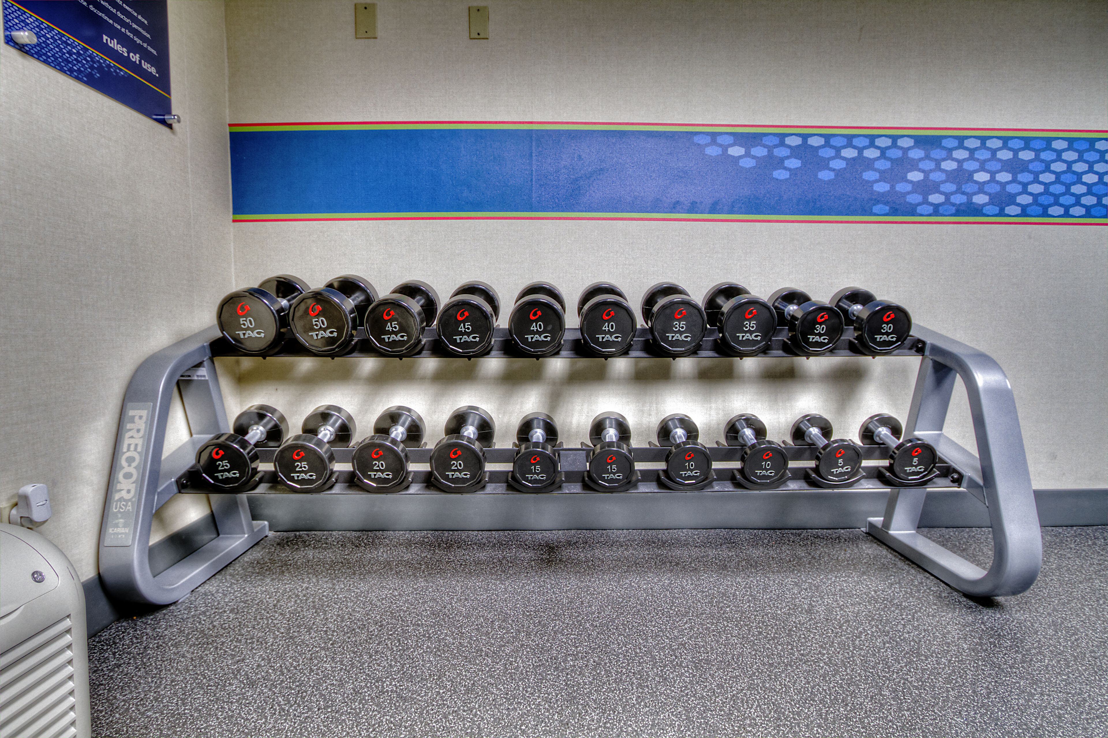 A rack of dumbbells with weights ranging from 5 to 50 pounds.