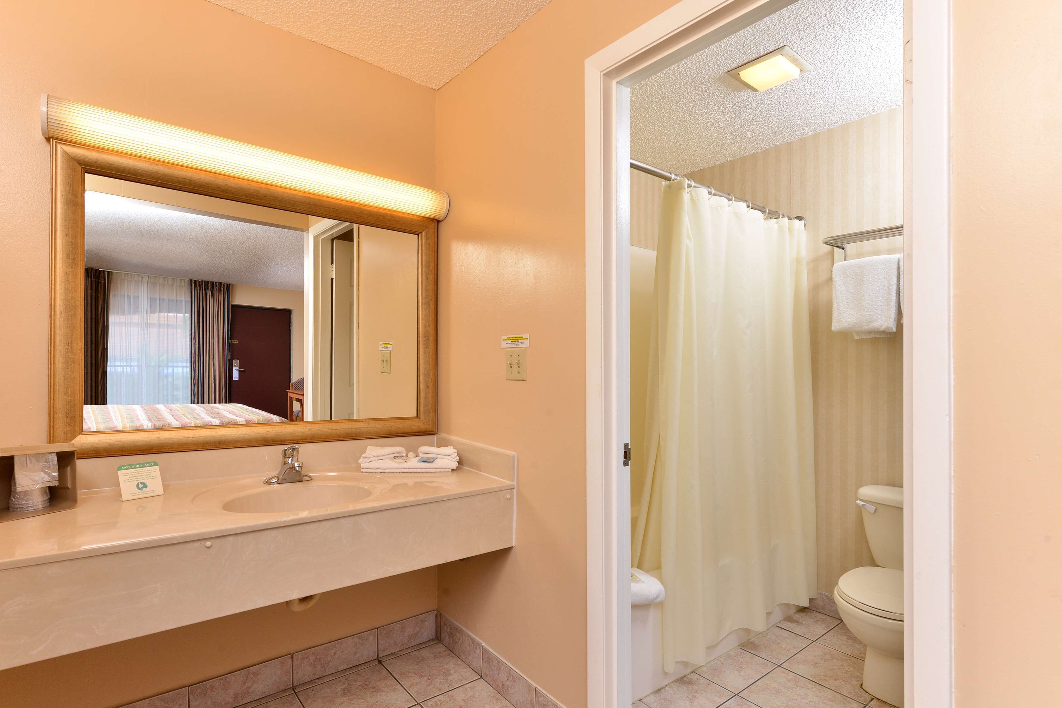 A bathroom with a sink, mirror, and toilet.