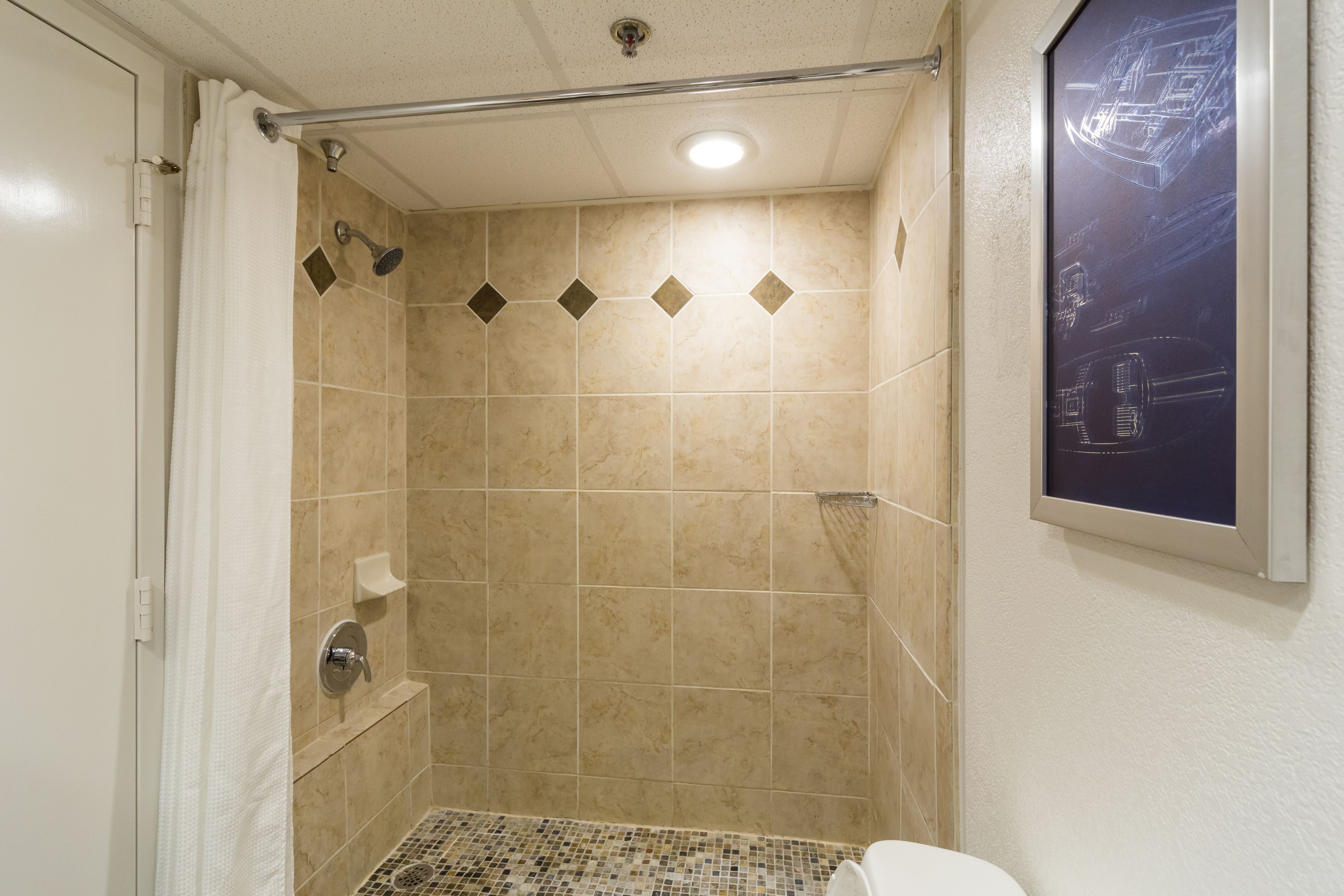 executive room, 1 king bed | bathroom shower