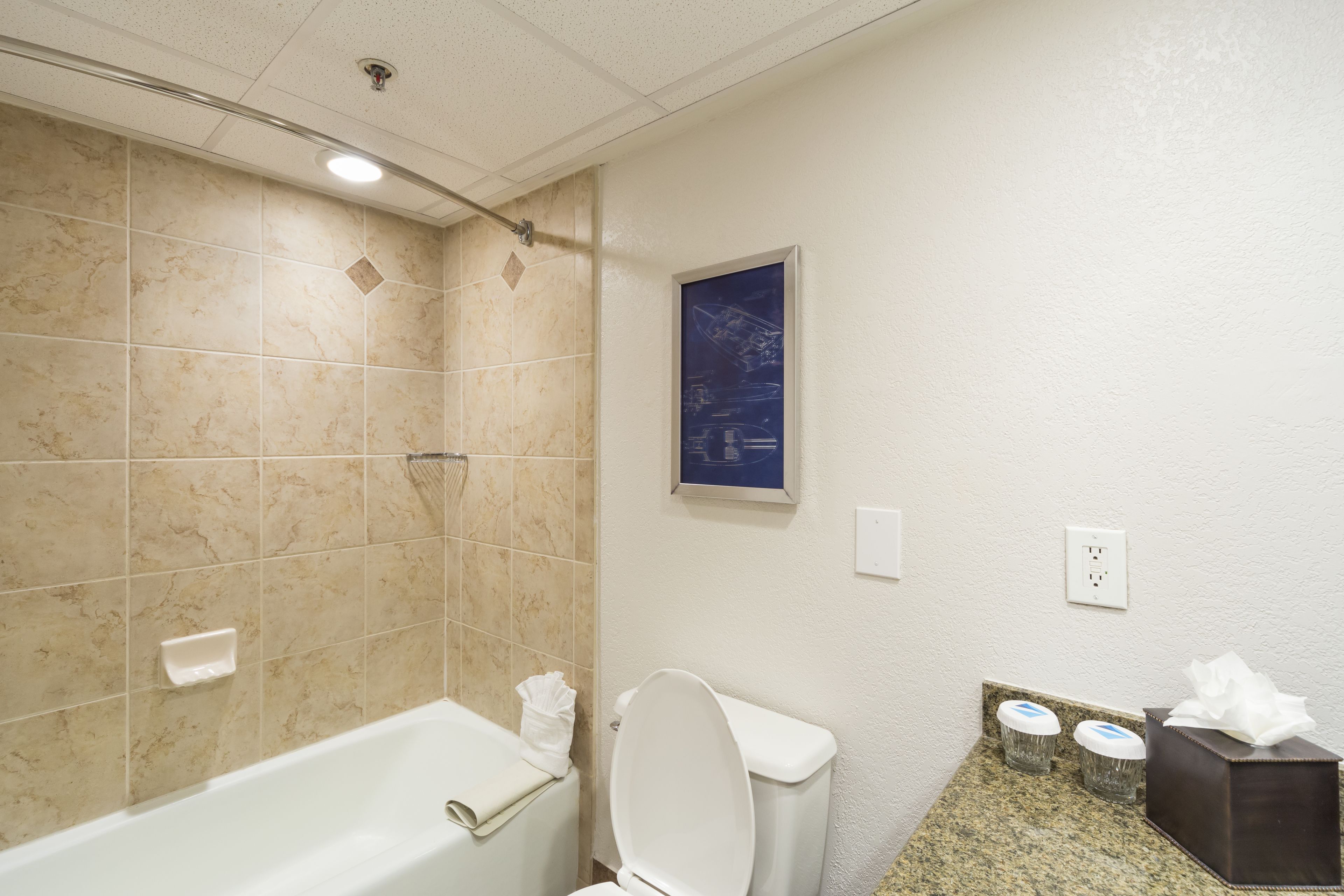 Une salle de bain avec une baignoire, des toilettes et une douche. On y trouve deux poubelles et une boîte de mouchoirs sur le comptoir.