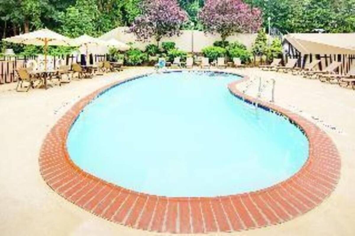 Une piscine bordée de briques, entourée de chaises longues et de parasols.
