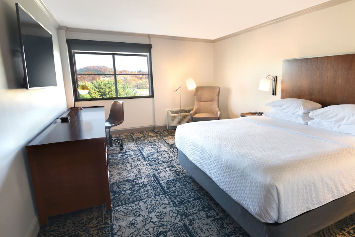 A hotel room with a large bed, a desk, a chair, a TV, and a window with a view of trees.