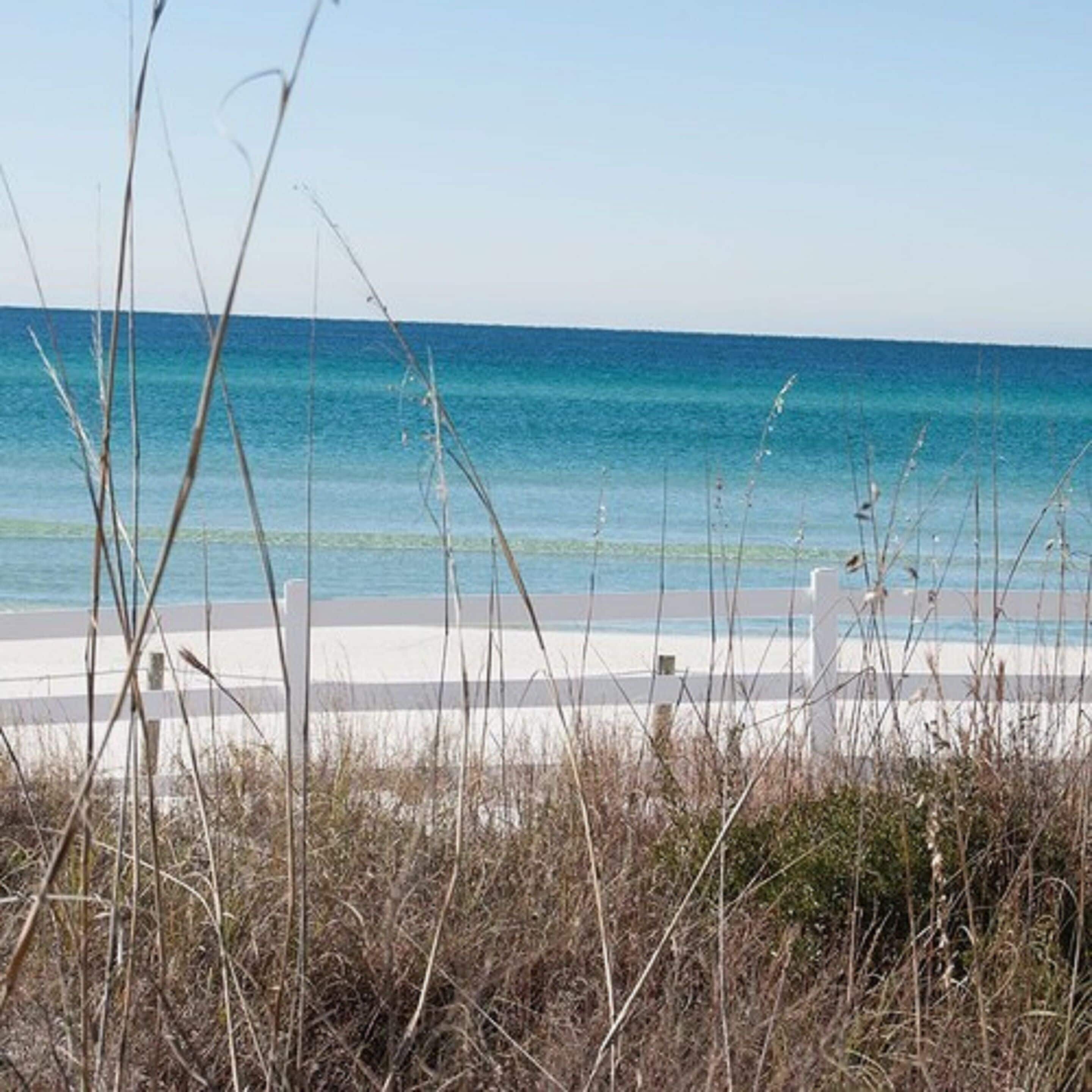 A beach view with a clear sky and calm sea.