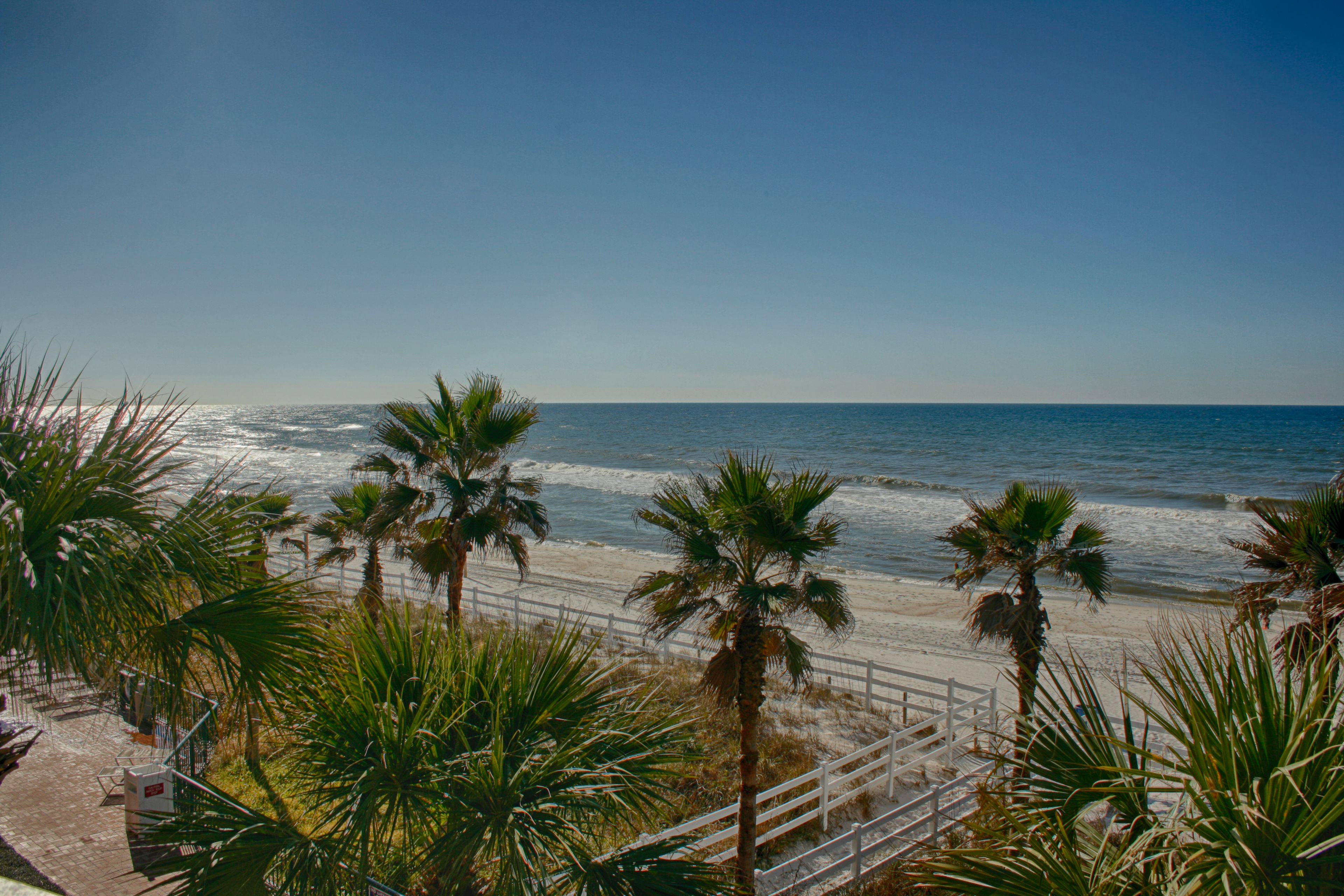 Vista de playa con palmeras y una valla blanca.