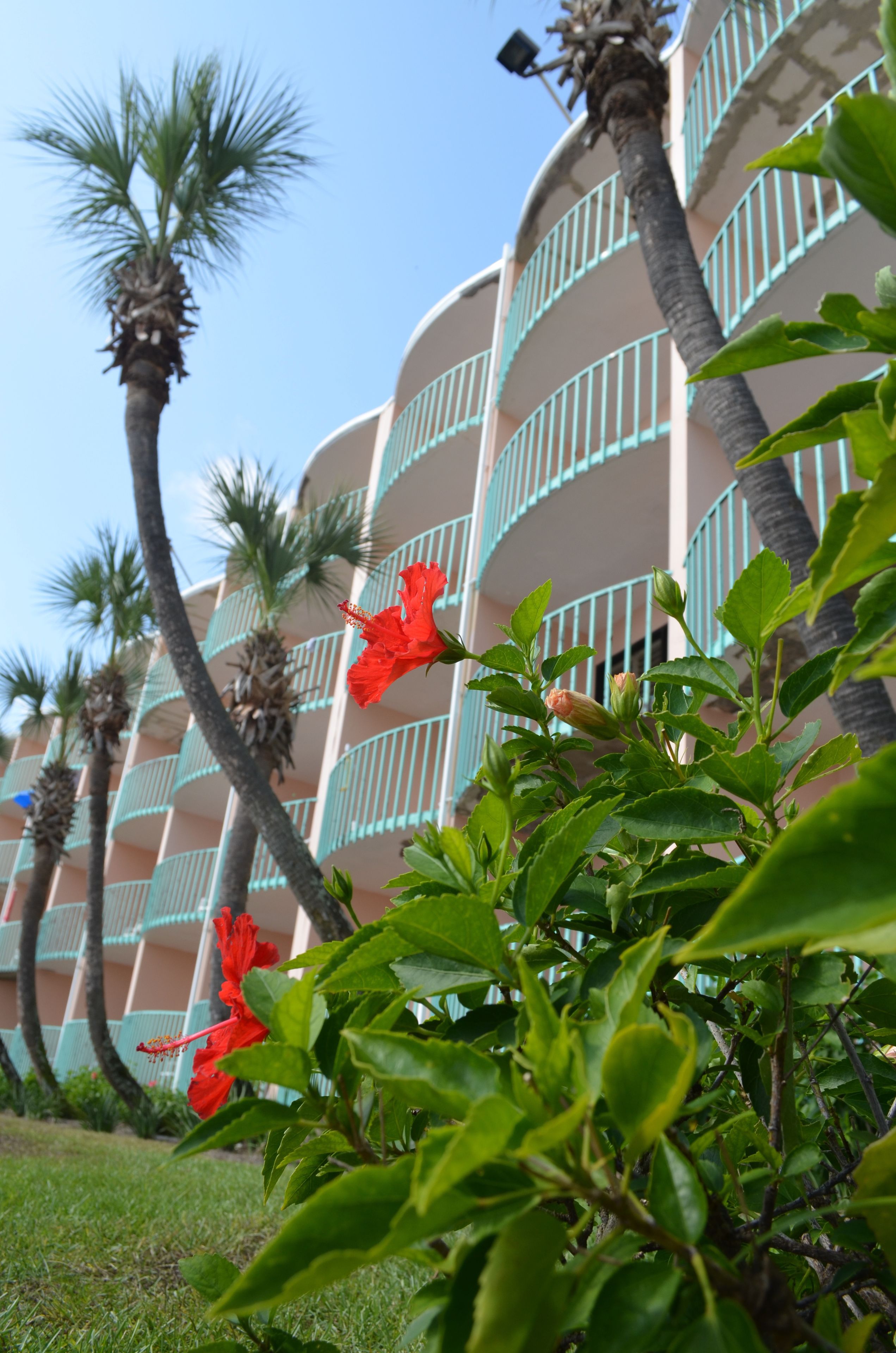 A hotel with multiple balconies, palm trees, and red flowers.