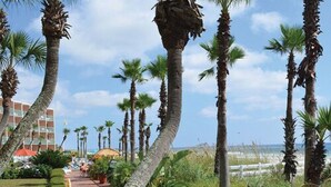 A pathway lined with palm trees and potted plants, leading to a building with a red roof. - Casa Loma Inn (Panama City Beach)