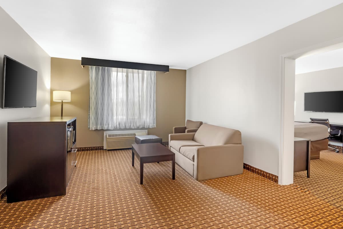 Habitación de hotel con sofá, escritorio, televisión, lámpara y alfombra estampada.