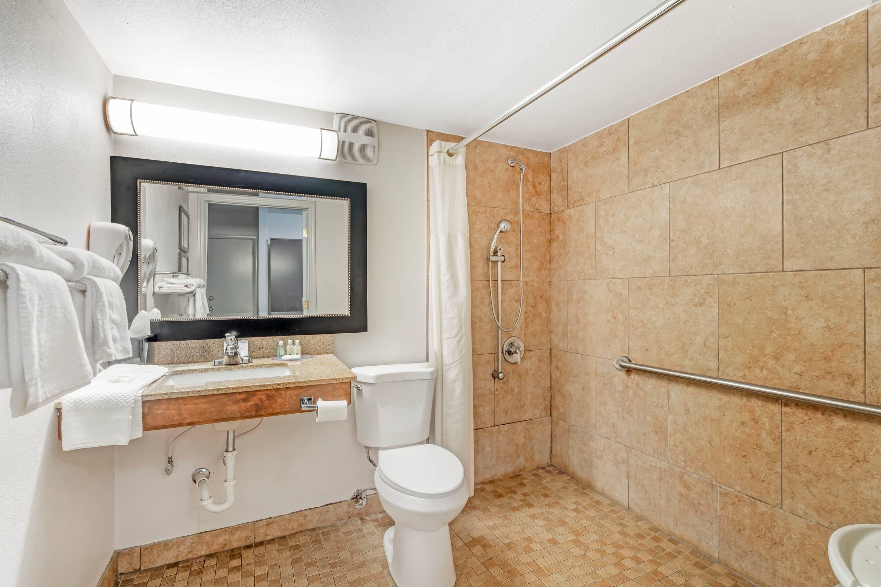 Une salle de bain équipée d’un WC, d’un lavabo, d’un miroir, d’une douche et d’une barre d’appui.