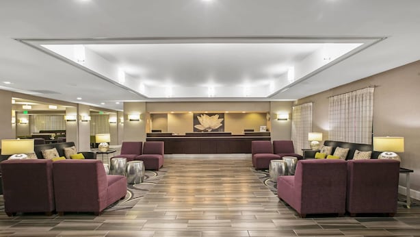 Un hall de hotel con mostrador de recepción, sofás morados y un suelo estampado.