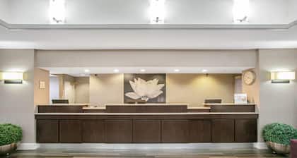 La Quinta Inn & Suites by Wyndham DFW Airport South / Irving