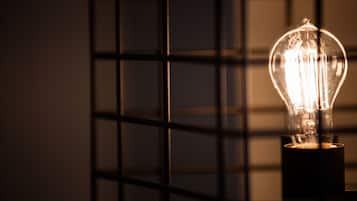 A single light bulb in a grid-like structure.