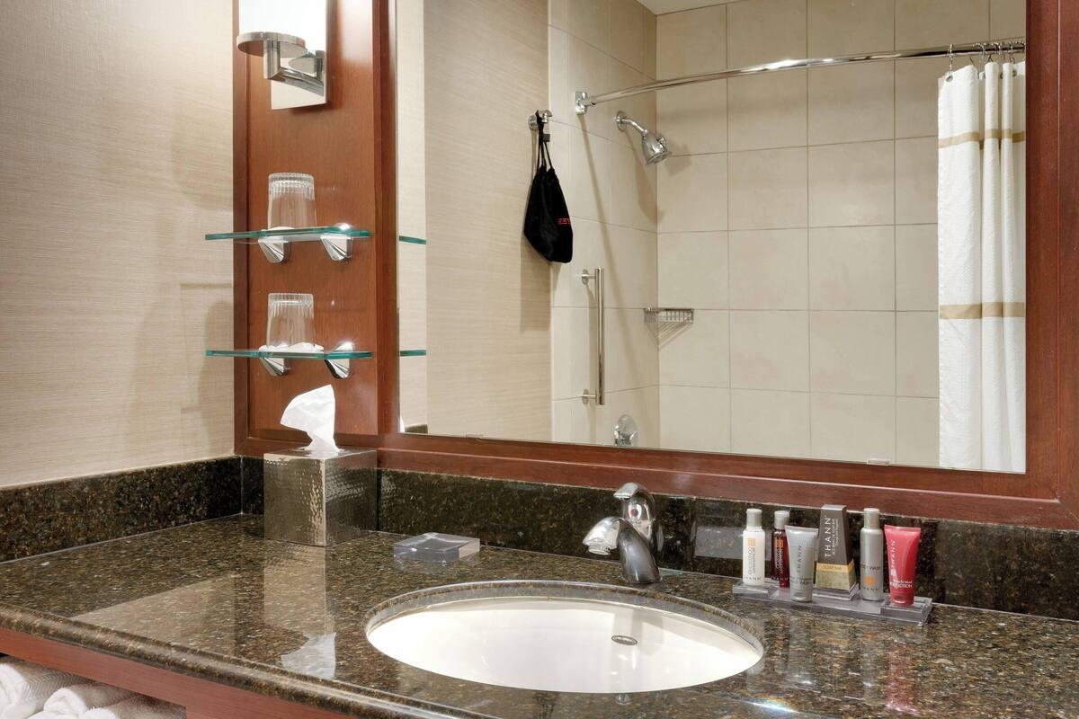 combined shower/bathtub, free toiletries, hair dryer, towels