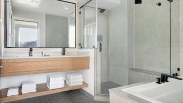 Combined shower/bathtub, free toiletries, hair dryer, towels