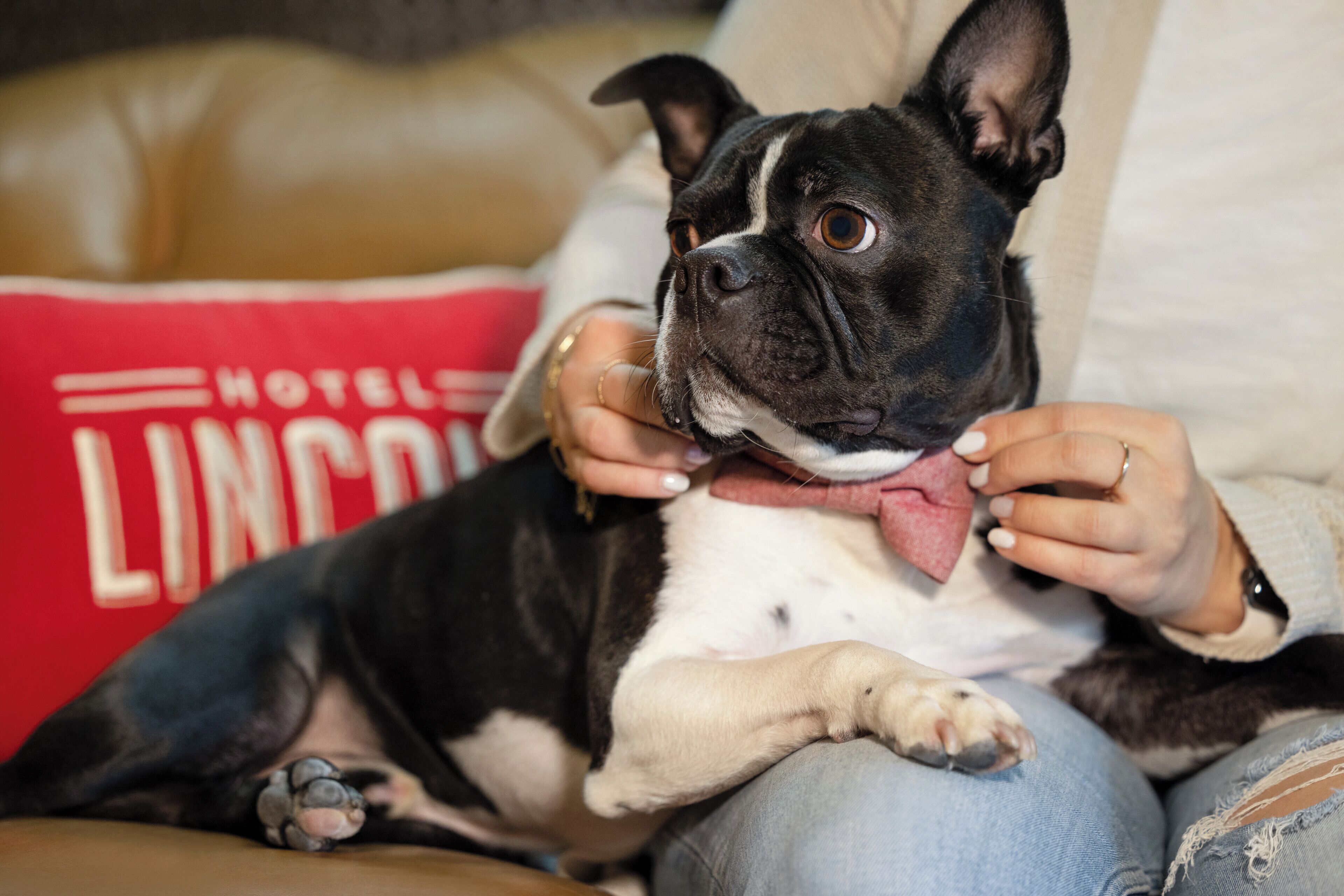 Foto - Hotel Lincoln