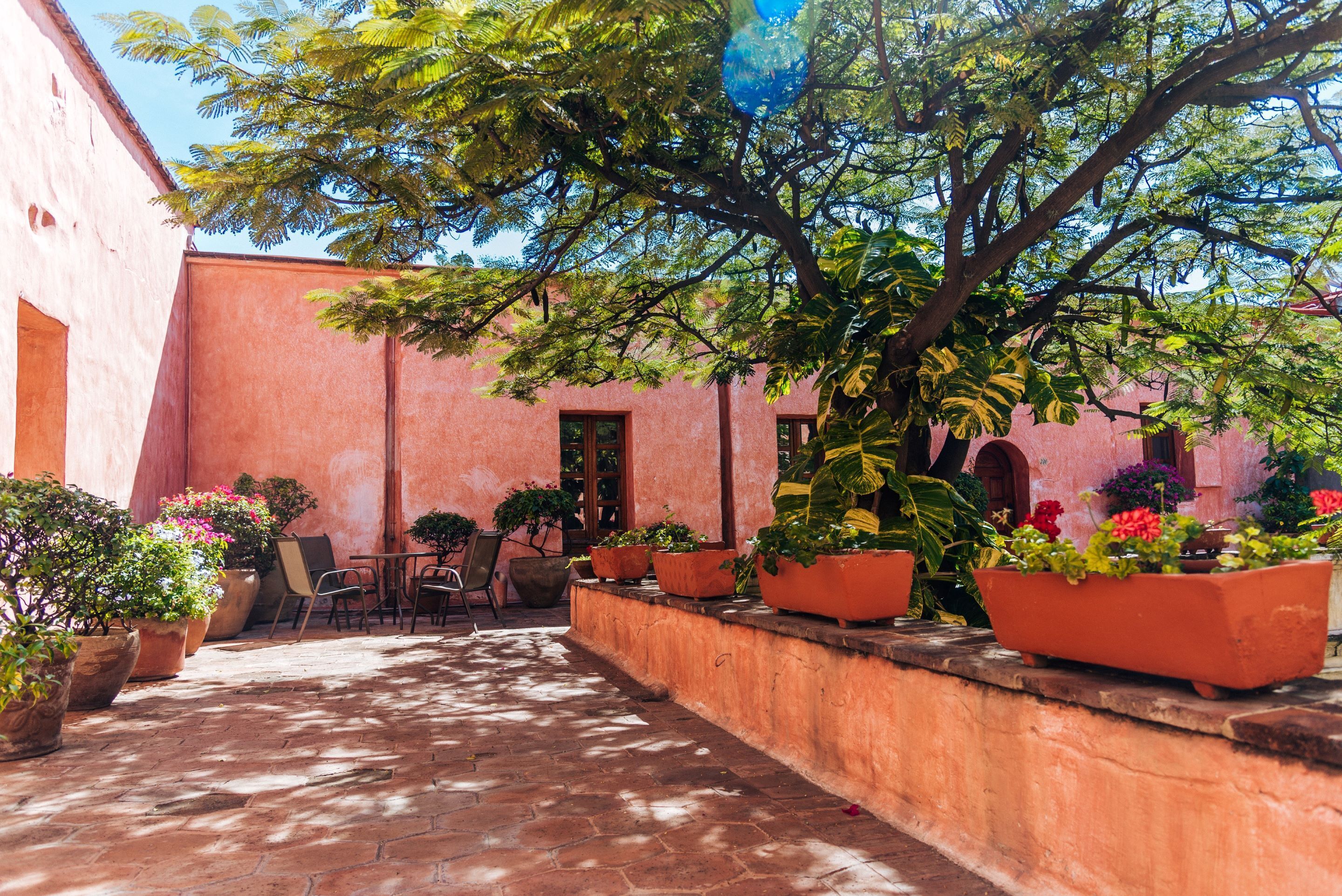 A courtyard with a brick floor, potted plants, and a large tree providing shade.