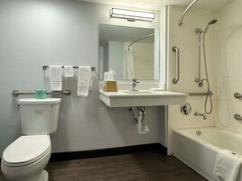 A bathroom with a toilet, sink, mirror, shower, and handrails.