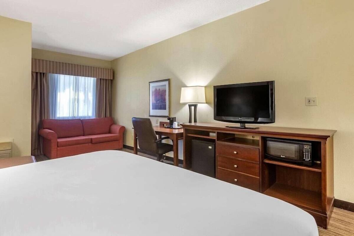 A hotel room with a large bed, a desk with a computer and a TV, a red sofa, and a microwave.
