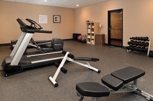 Un gimnasio con equipo de cardio, mancuernas y una banca.