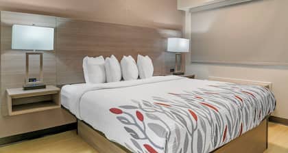 Red Roof Inn Detroit-Rochester Hills/Auburn Hills