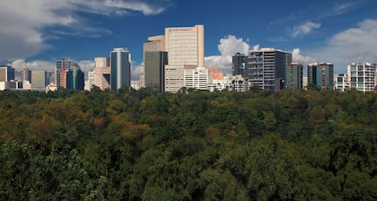 Hyatt Regency Mexico City