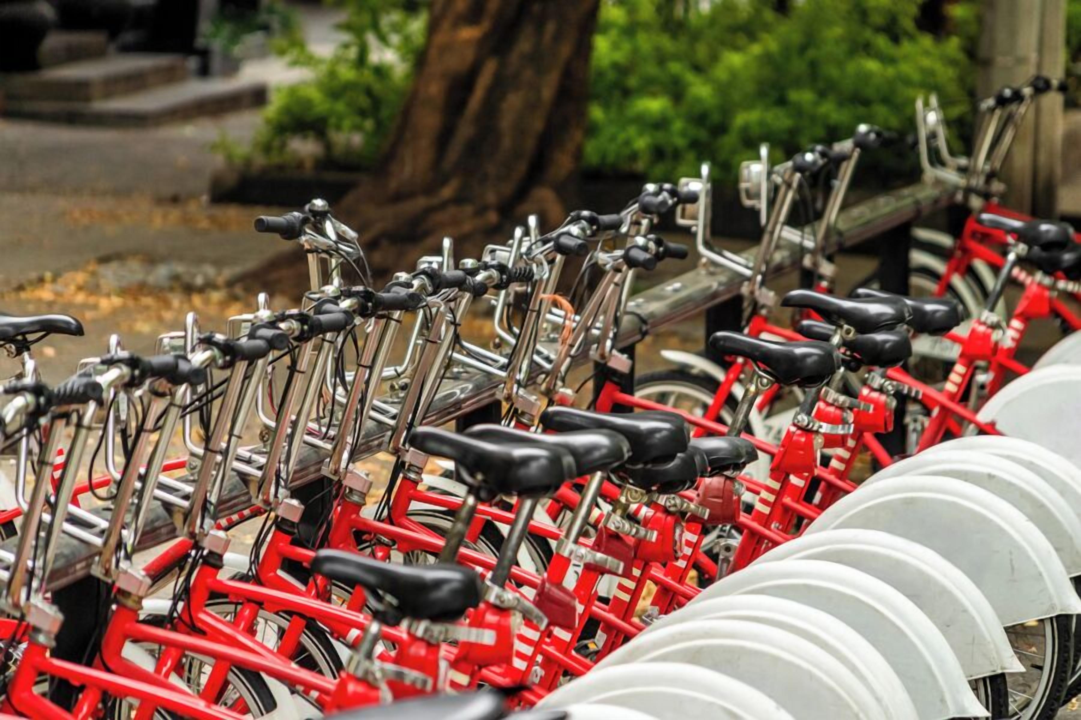 Photo - Hyatt Regency Mexico City