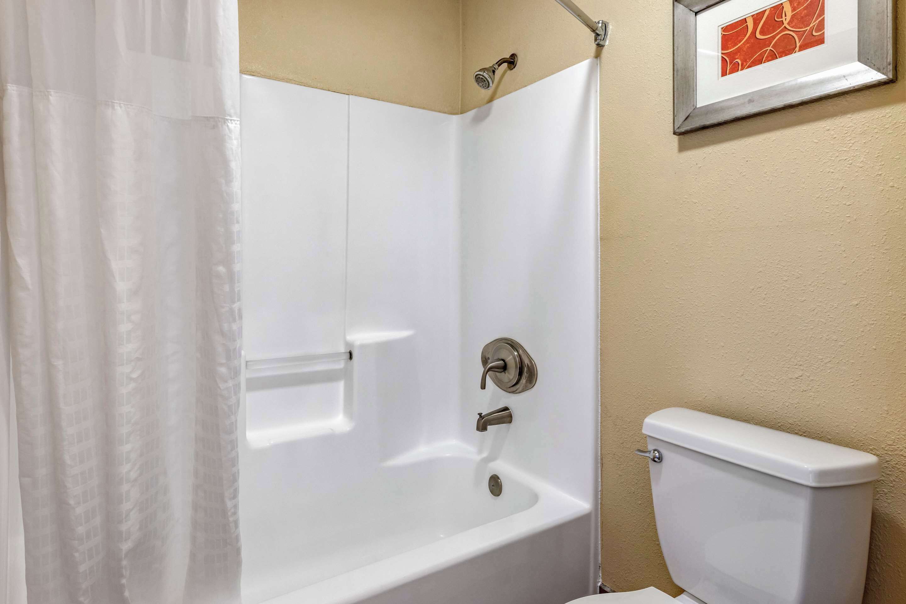 A bathroom with a white bathtub, a toilet, and a shower curtain.