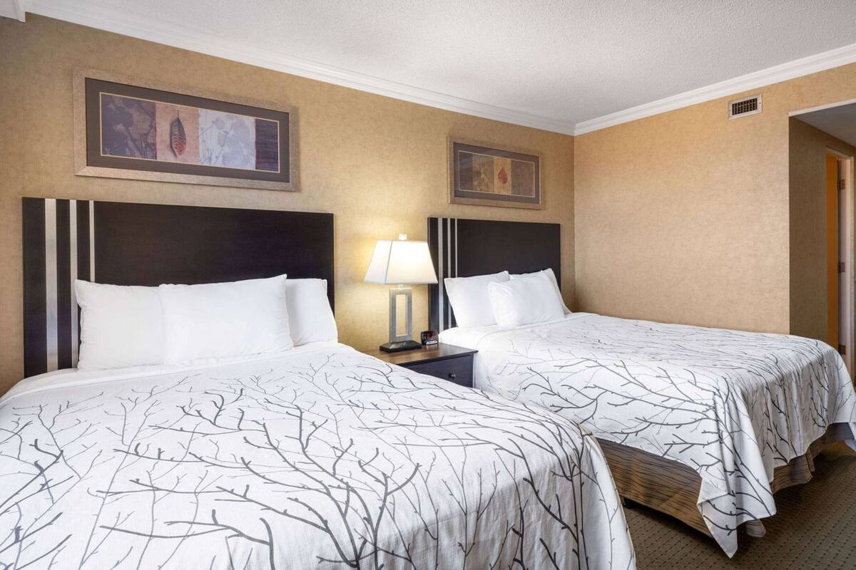 Desk, blackout curtains, soundproofing, iron/ironing board