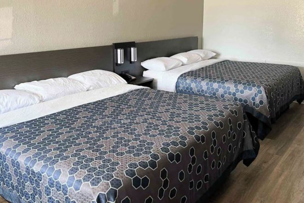 Dos camas con cubrecamas estampados, una mesita de noche con lámpara y una lámpara de pared.