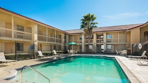 A pool area with lounge chairs and a palm tree.