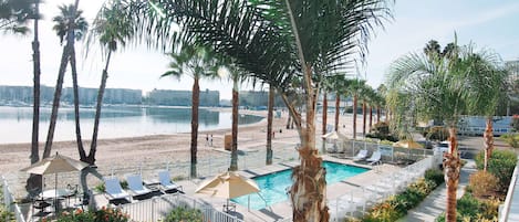 Outdoor pool, sun loungers