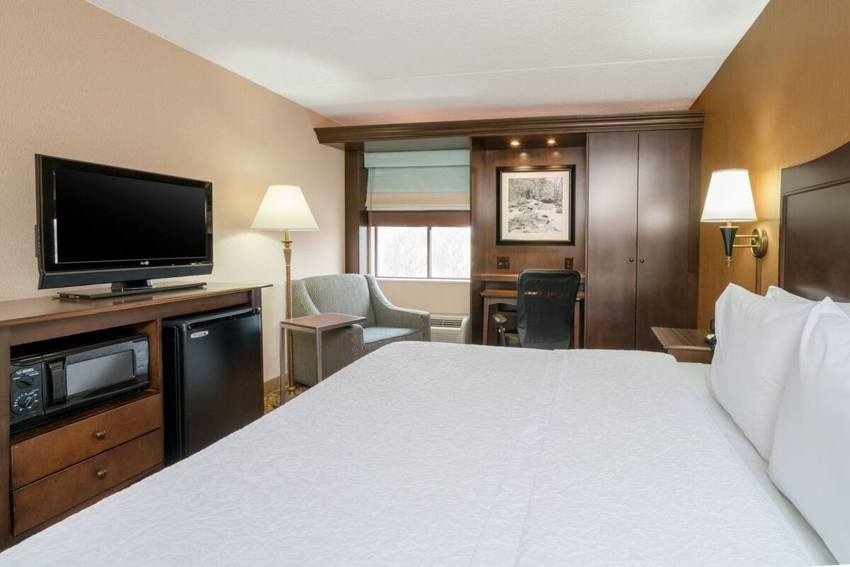 A hotel room with a bed, a desk, a chair, a television, a microwave, and a picture on the wall.