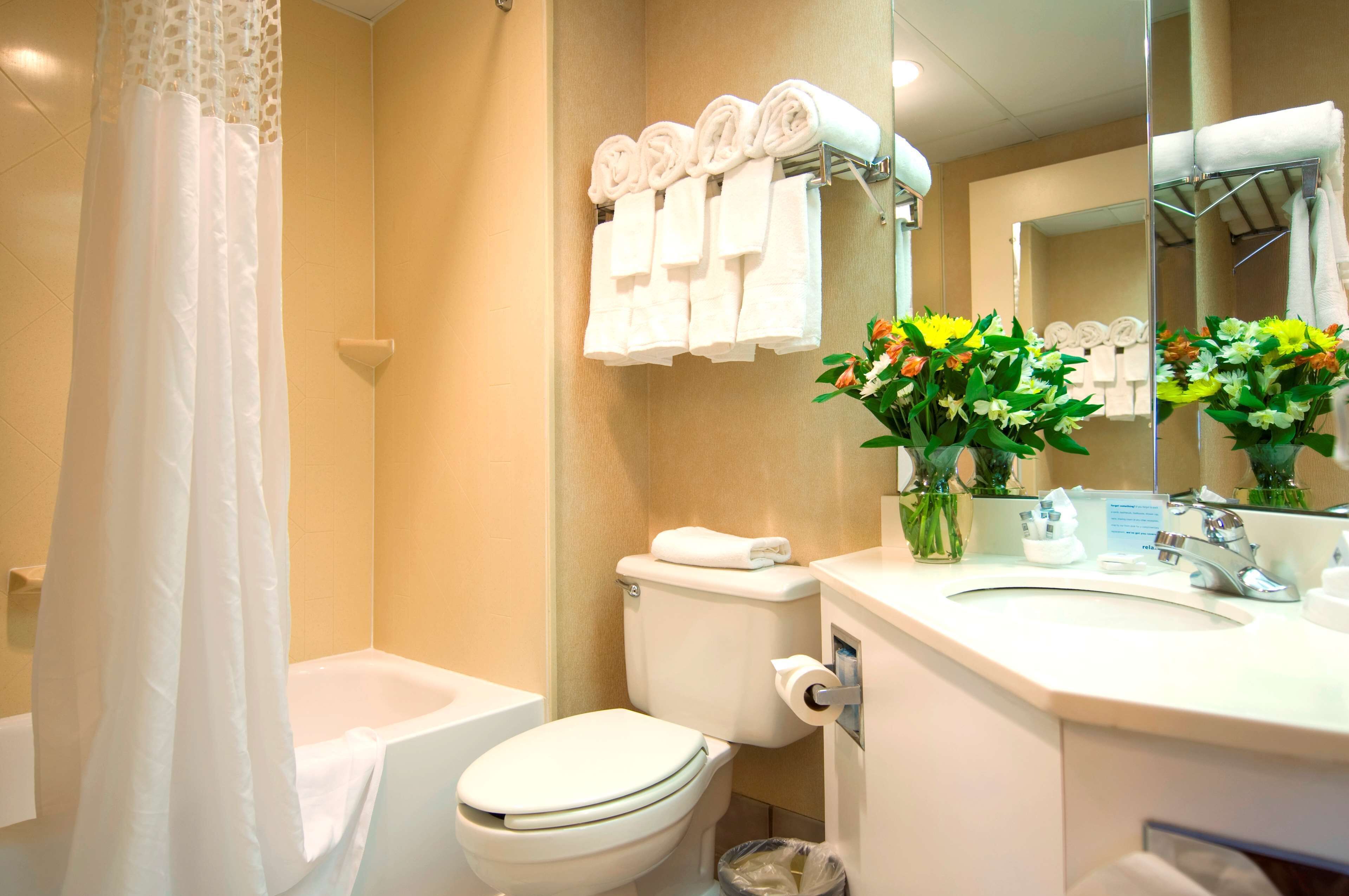 free toiletries, hair dryer, towels