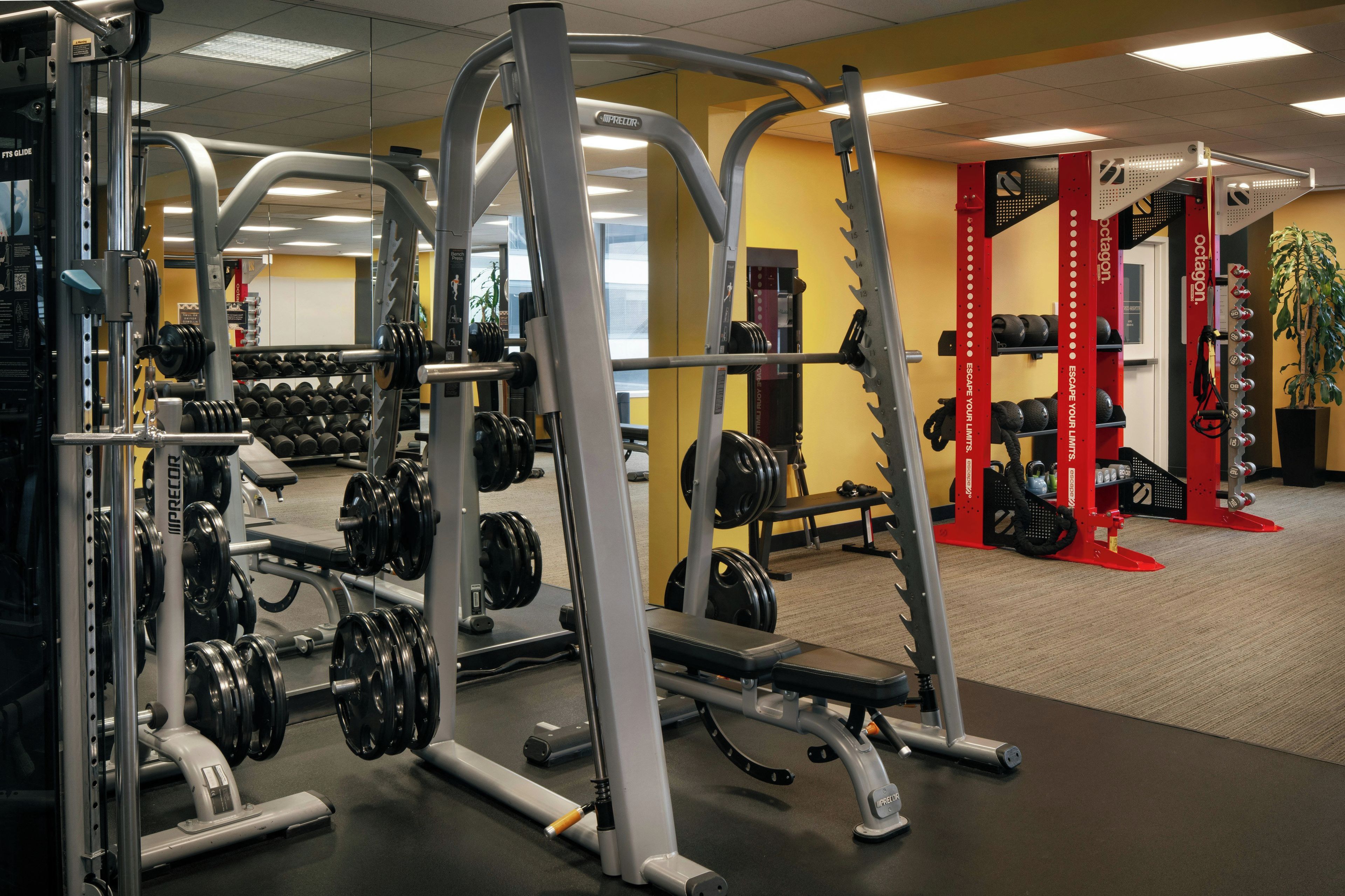 Une salle de sport équipée de matériel de musculation, de bancs et d’une structure octogonale rouge.
