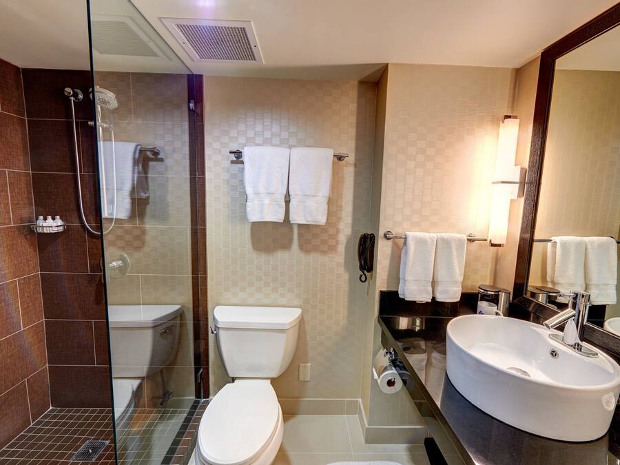 A modern bathroom with a glass-enclosed shower, a toilet, a sink, and a large mirror.