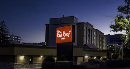 Red Roof Inn Hartford - New Britain