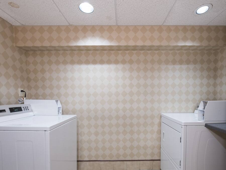 Une buanderie équipée de deux machines à laver, d’un panneau de commande et de murs décorés de motifs.