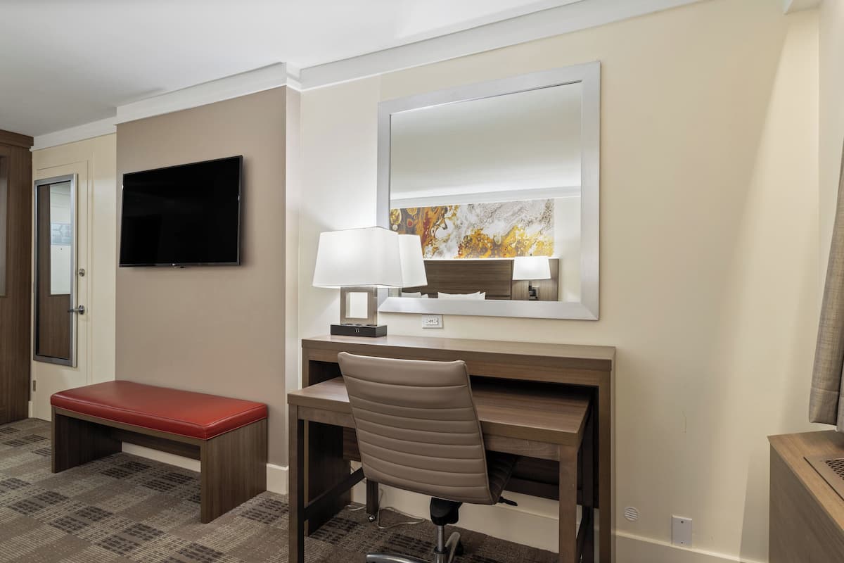 Standard Room, 1 King Bed (Hideaway) | Room amenity