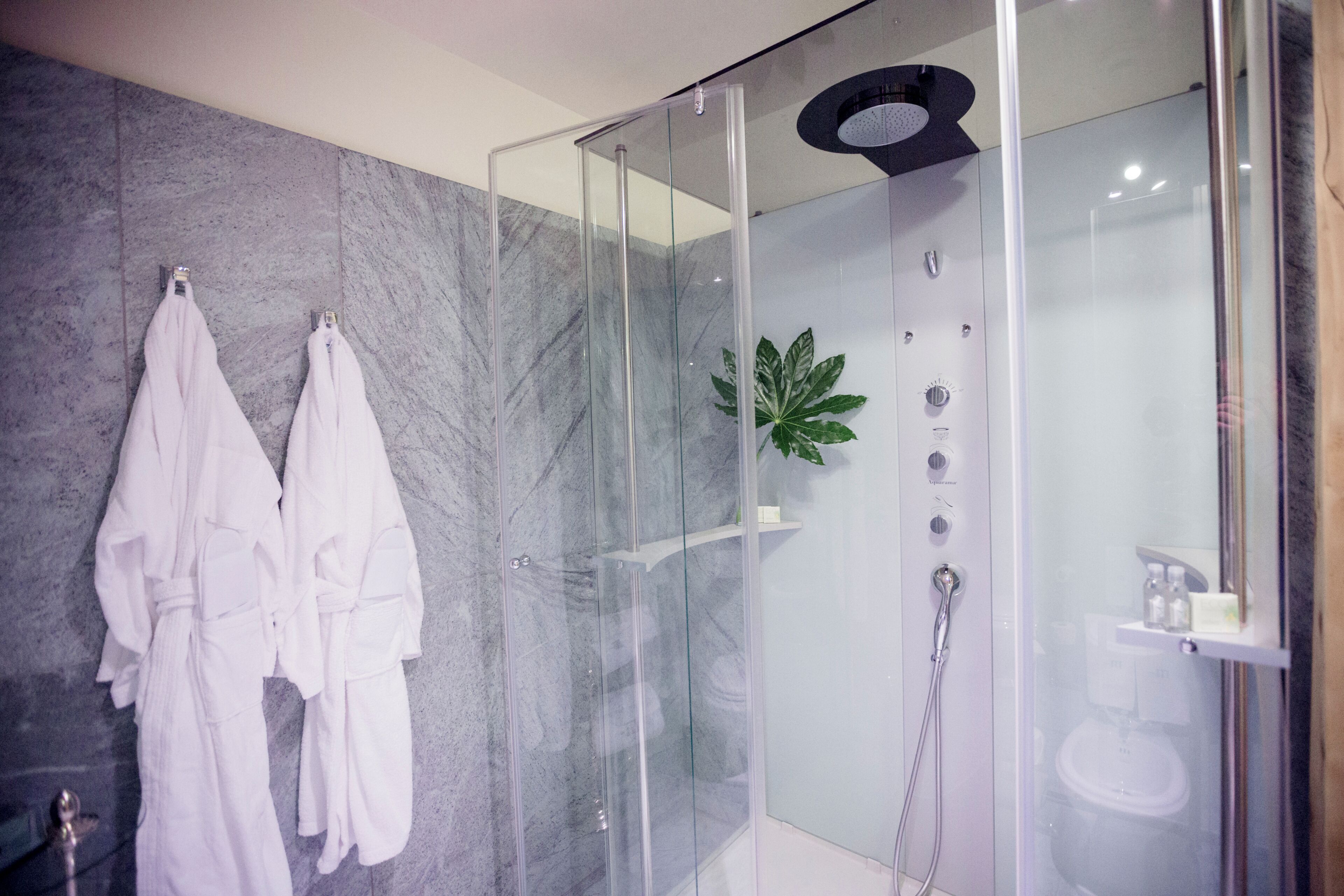 Suite | Badkamer | Een regendouche, gratis toiletartikelen, een haardroger, handdoeken
