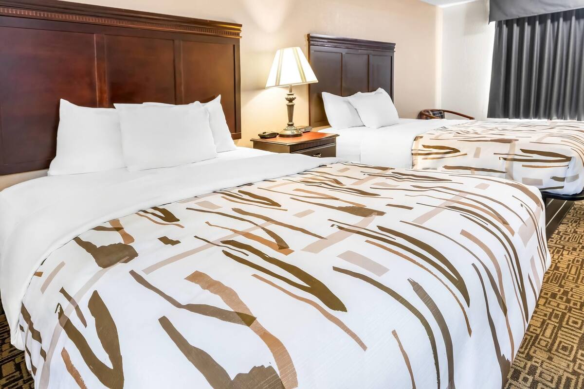 Ein Hotelzimmer mit zwei Betten, einem Nachttisch mit Lampe, einem Sessel und einem gemusterten Teppich.