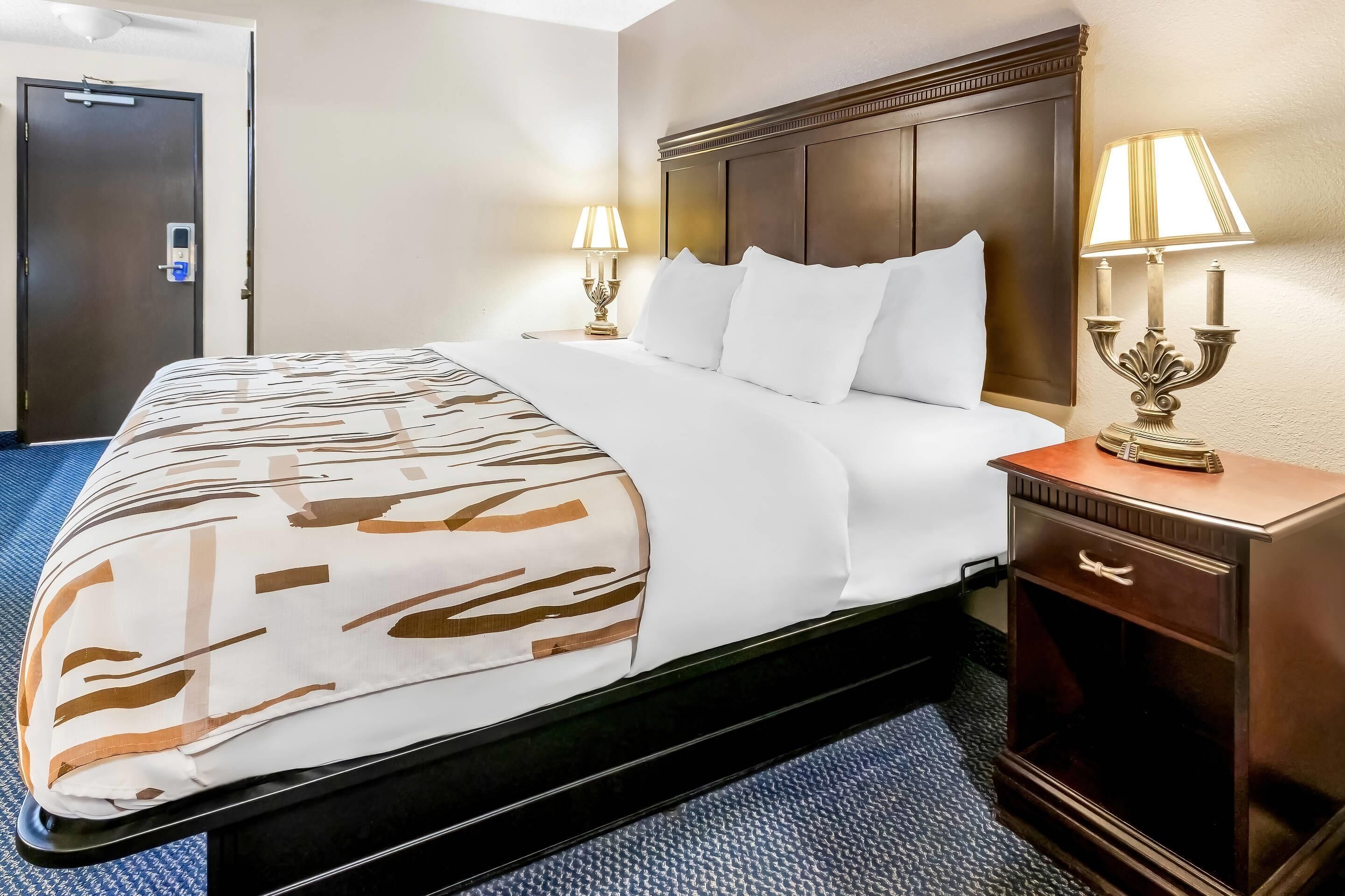 A hotel room with a large bed, two bedside lamps, a wooden nightstand, and a door.