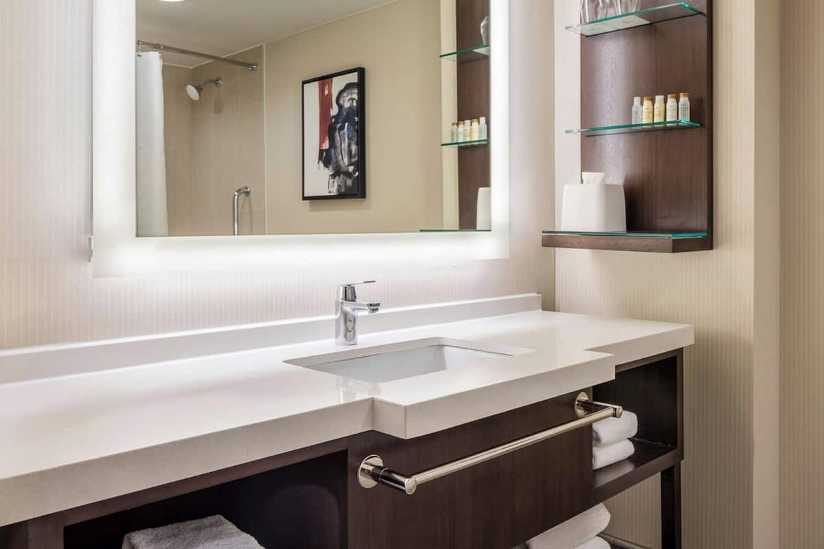 combined shower/bathtub, designer toiletries, hair dryer, towels