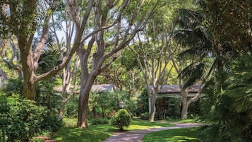 Un jardin luxuriant avec un chemin pavé de briques menant à une maison.