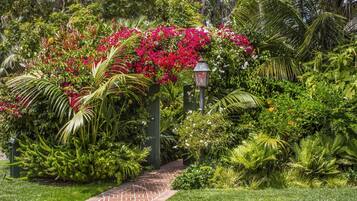 A garden pathway with lush greenery and flowering plants.