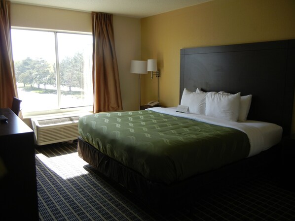Desk, blackout curtains, soundproofing, iron/ironing board - Quality Inn Holland - Toledo (Holland)