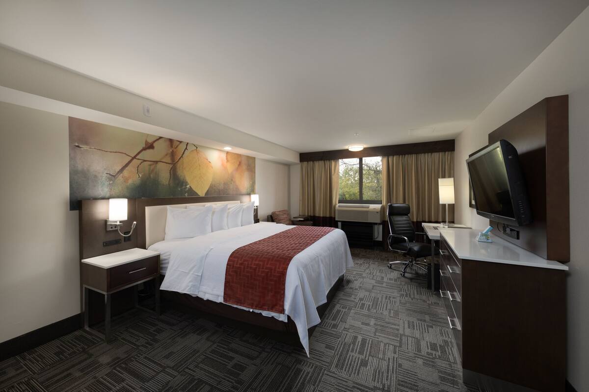 A hotel room with a large bed, a desk with a television, and a view of the outdoors through the window.