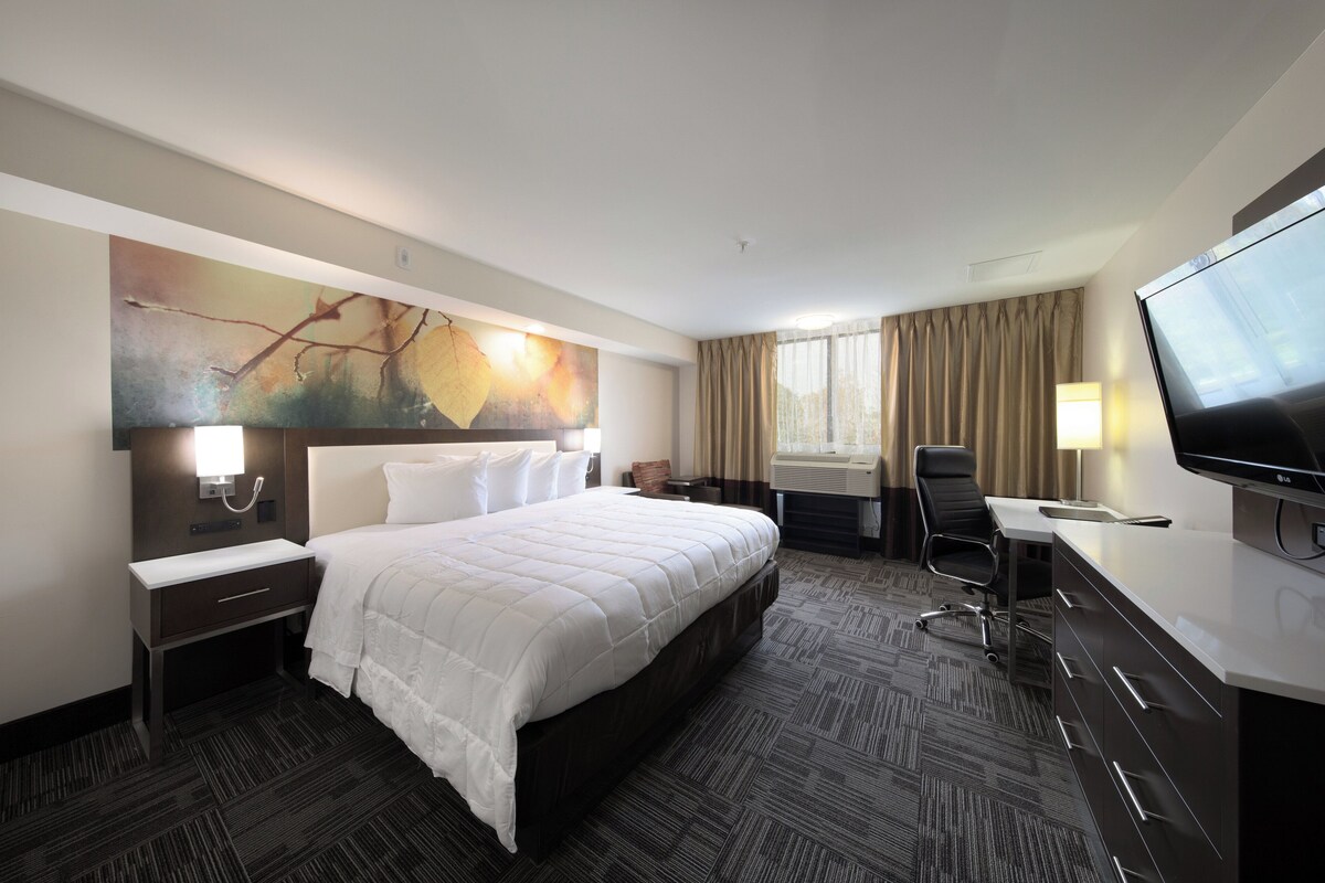 A hotel room with a large bed, a desk, a TV, and a painting on the wall.