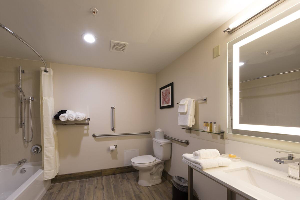 A bathroom with a shower, toilet, sink, and handrails.