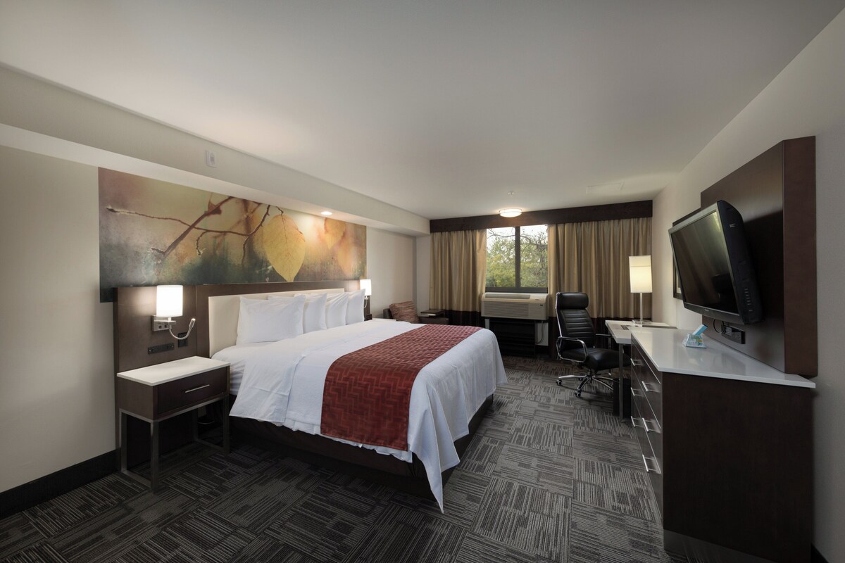 A hotel room with a large bed, a desk with a television, and a view of the outdoors through the window.